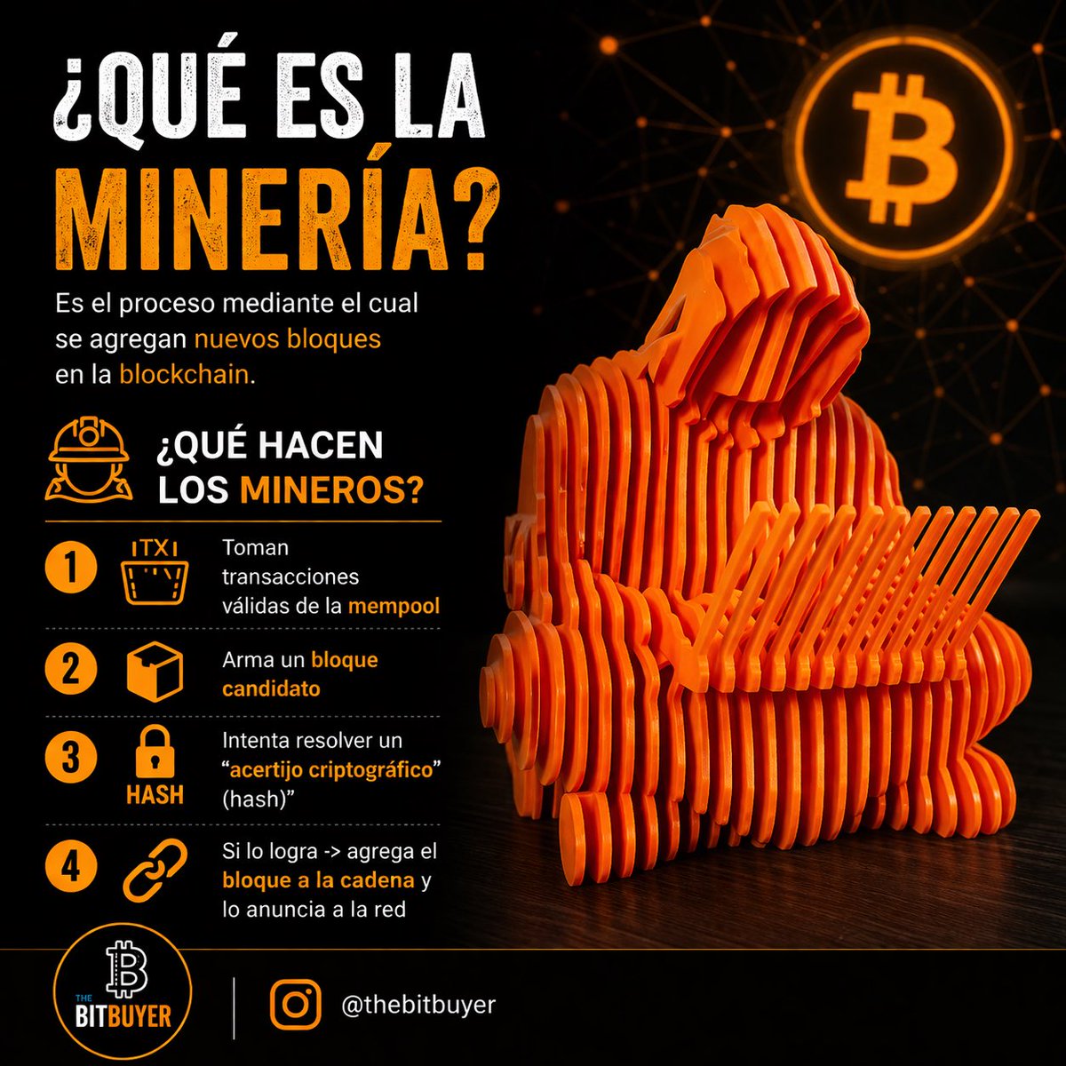 criptopinamar tweet media