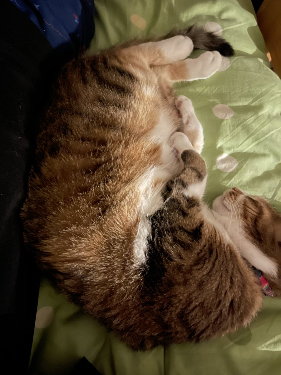 ネンネ💤