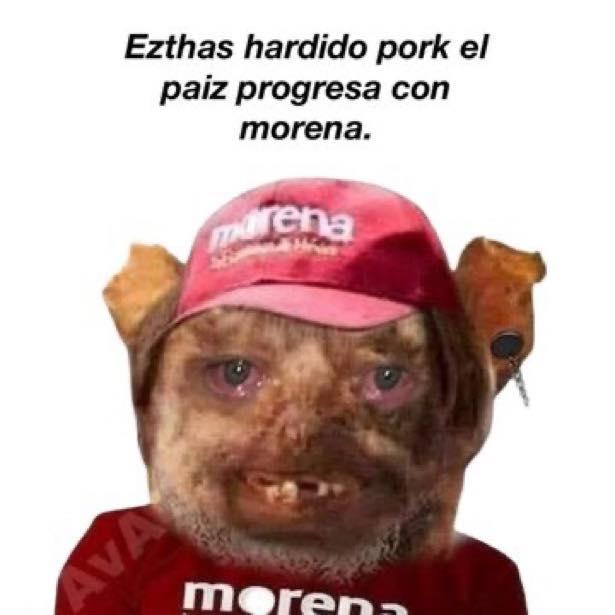 Namelees Alfa tweet media