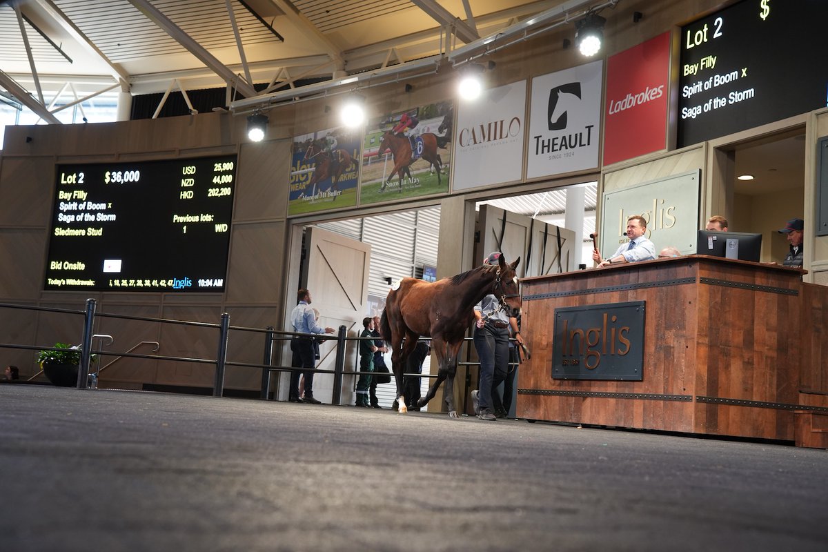 Sledmere Stud tweet media