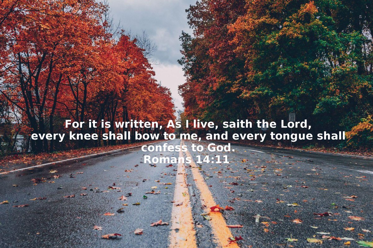 digitaltheword's tweet image. Have a blessed evening.
Verse of the day #VerseOfTheDay #Bible #TheWordofGod #Inspiration #Blessed