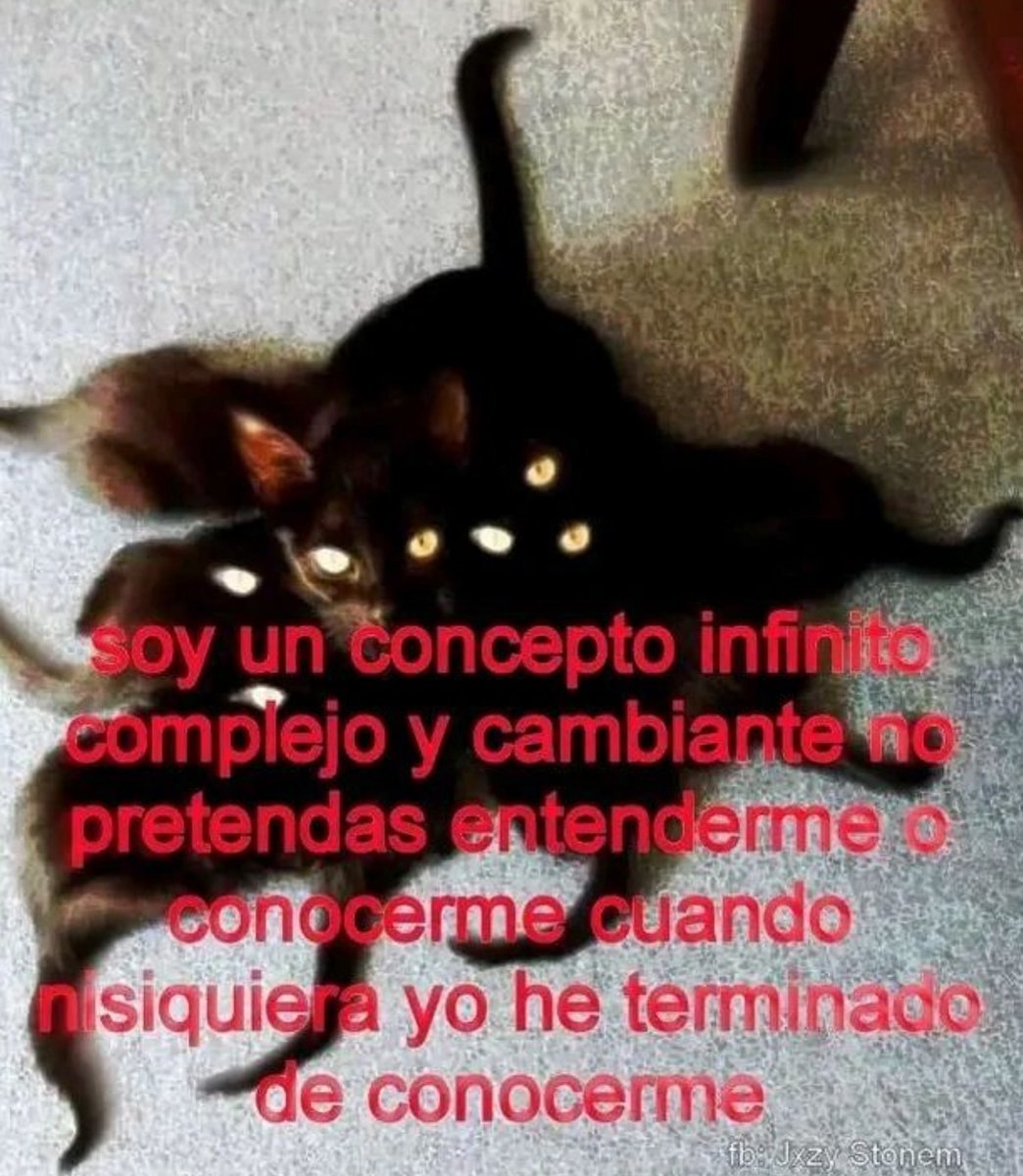 ໊ tweet media