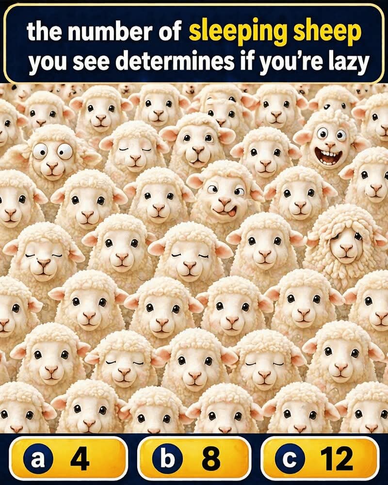 haddanjohn's tweet photo. The Number Of Sleeping Sheep You See Determines If You’re Lazy https://t.co/koeAzYO5pa