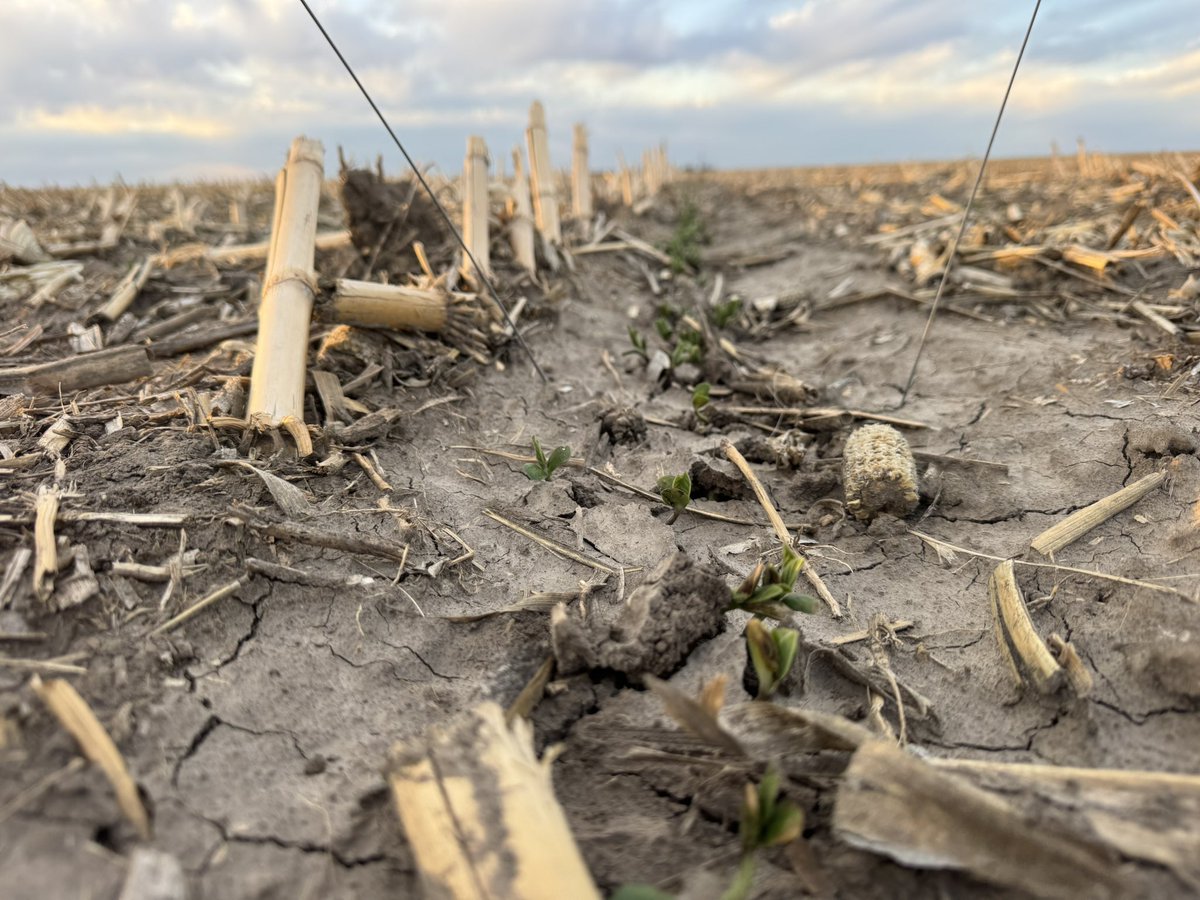 LEAADFarms's tweet image. #soybeans  planted April 13, 2026