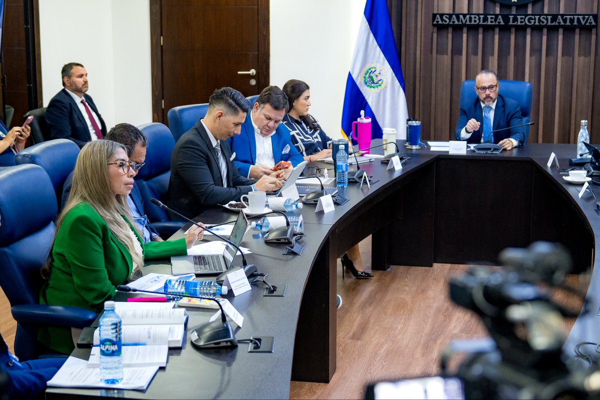Tribunal Supremo Electoral 🇸🇻 tweet media