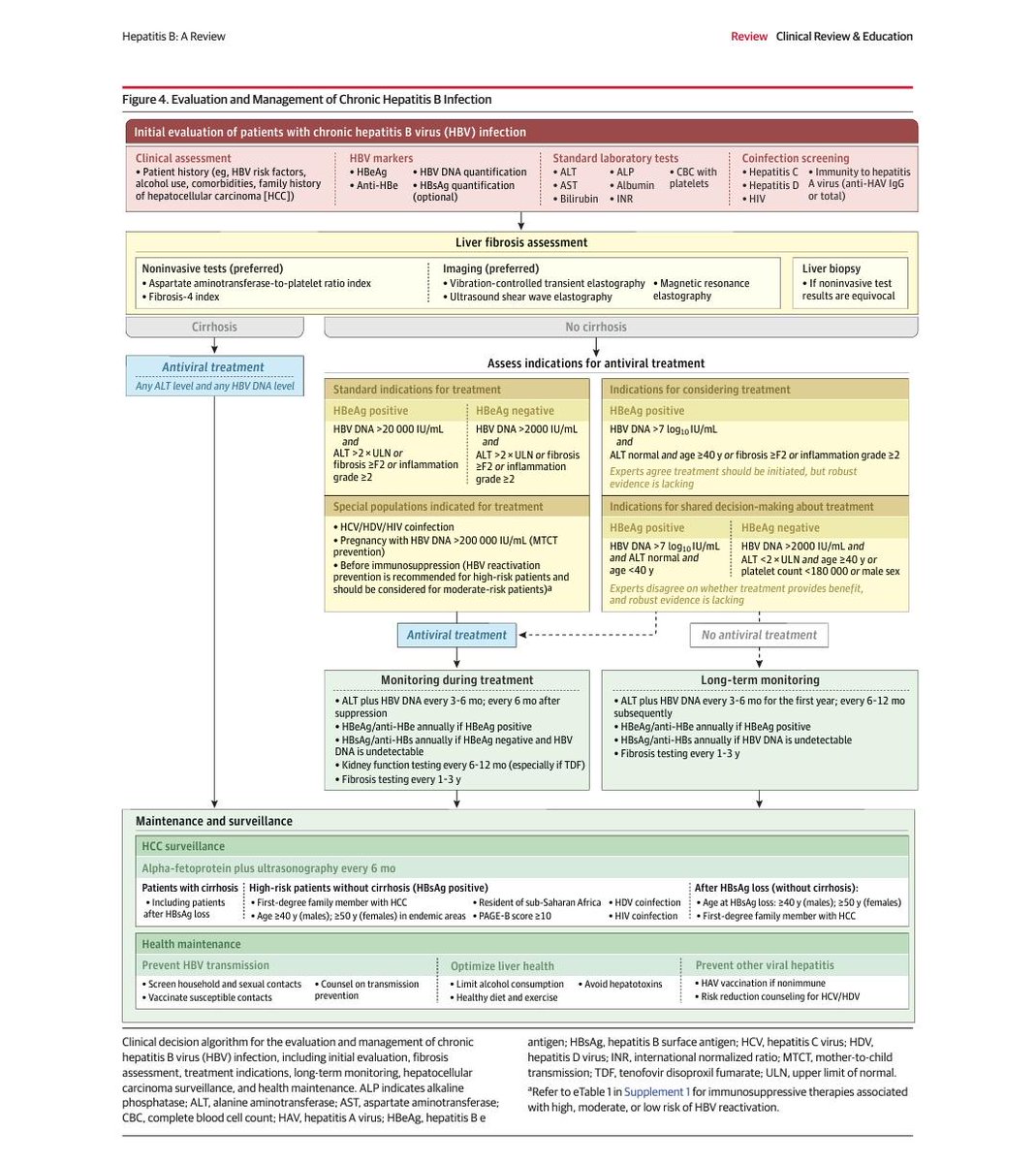 acincentral's tweet photo. Actualización Hepatitis B JAMA 2026.
Evaluación integral + estratificación de fibrosis siguen siendo la base.
El tratamiento antiviral depende de: ADN-VHB, ALT y estado HBeAg.
Importante: decisiones individualizadas y vigilancia a largo plazo.
Meta: prevenir cirrosis y carcinoma hepatocelular
#Infectología #Hepatología @Lauranocuab