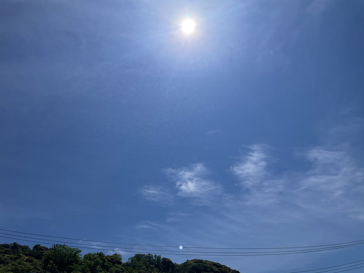 仲村 健人(Kento Nakamura) tweet media