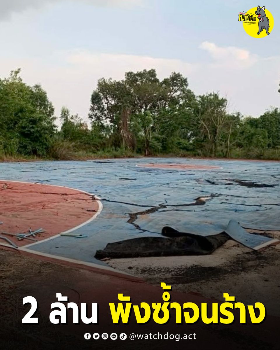 ปฏิบัติการหมาเฝ้าบ้าน tweet media