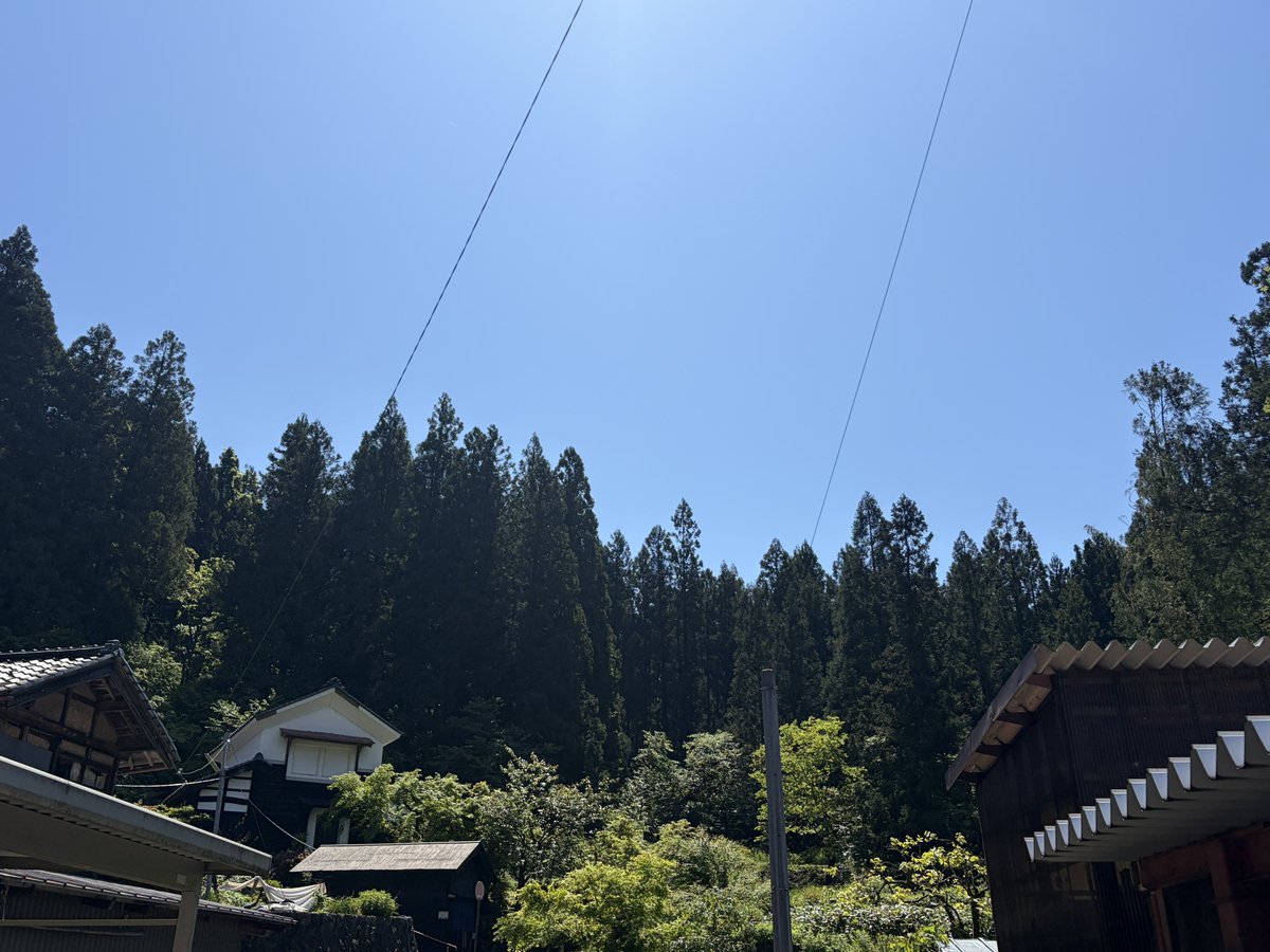 あま_ぺしょ tweet media