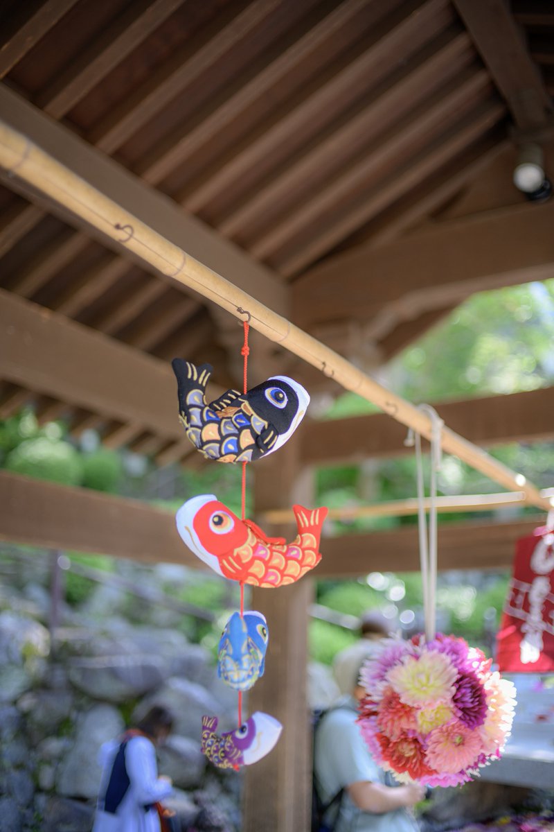 西国第七番　岡寺 tweet media