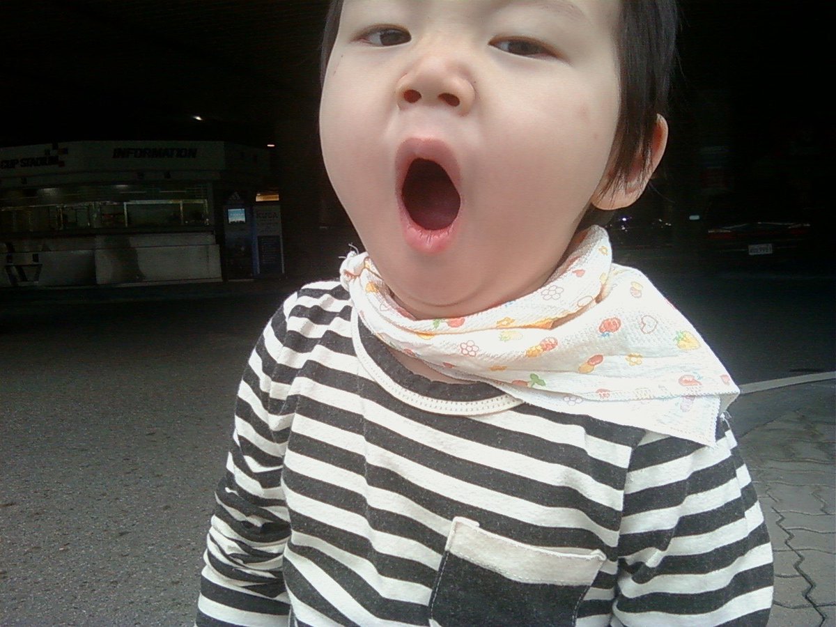 화냥이 tweet media