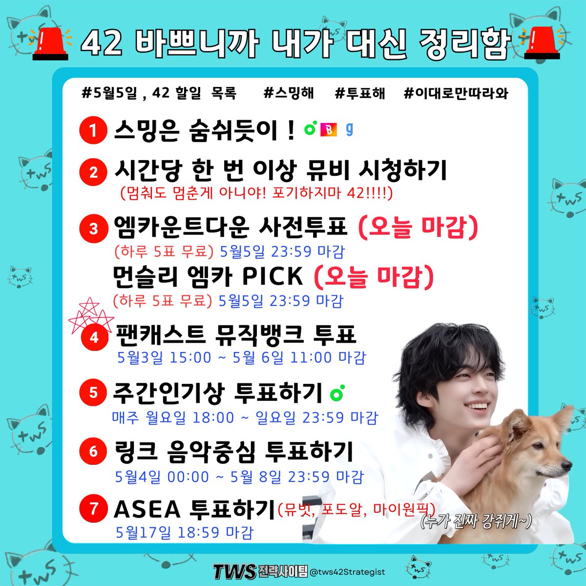 투어스전략사이팀 tweet media