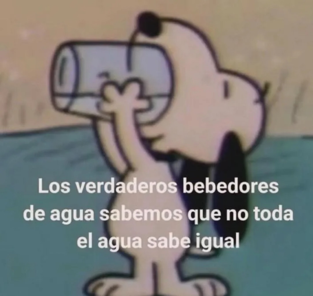 El Guarromántico tweet media