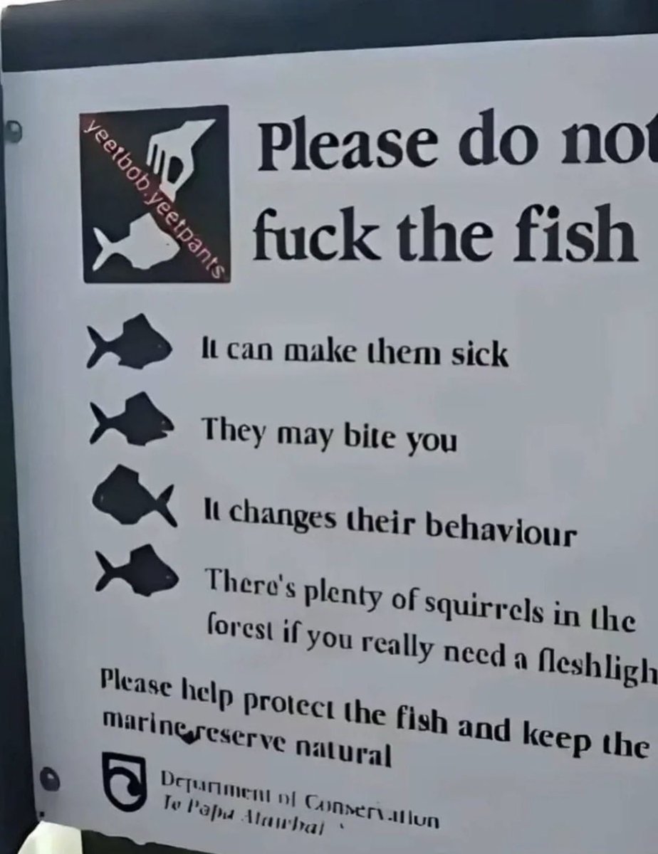 Not Except Fish Forget me not (@SeeMeNotXD) / Posts / X