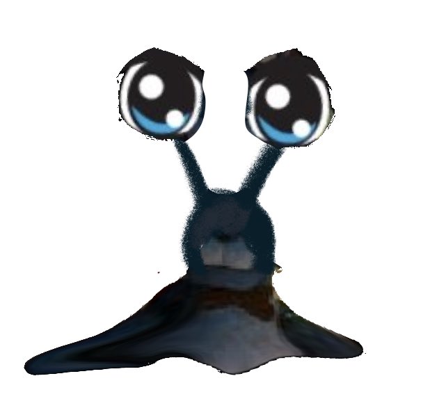 howzanet's tweet photo. Guys isn’t this cute https://t.co/Y7zSd9wCVk