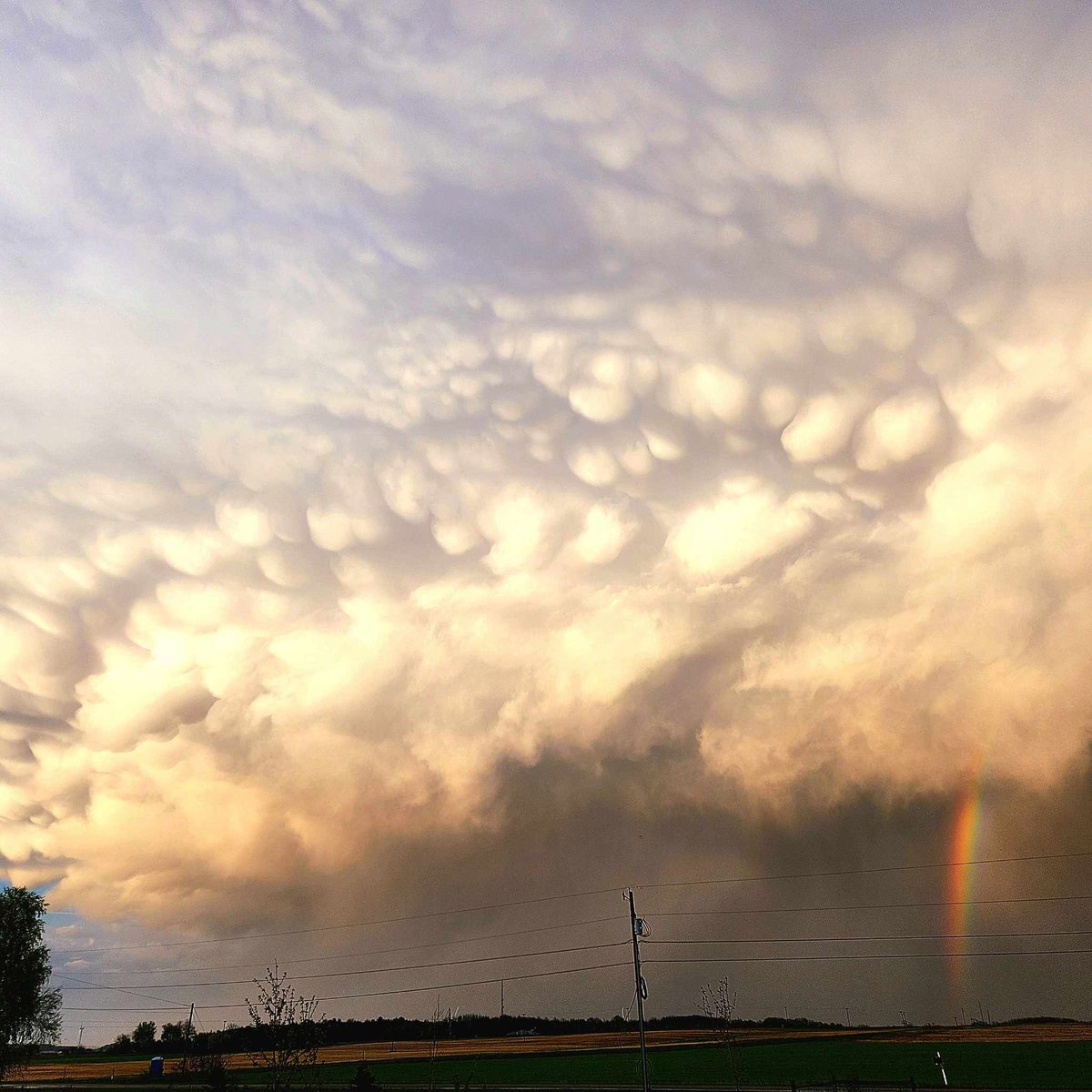 Michigan Storm Chasers tweet media