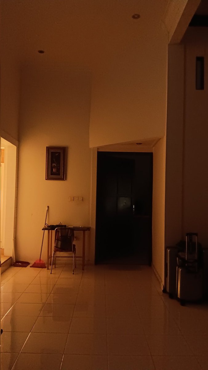 Meowcoco tweet media