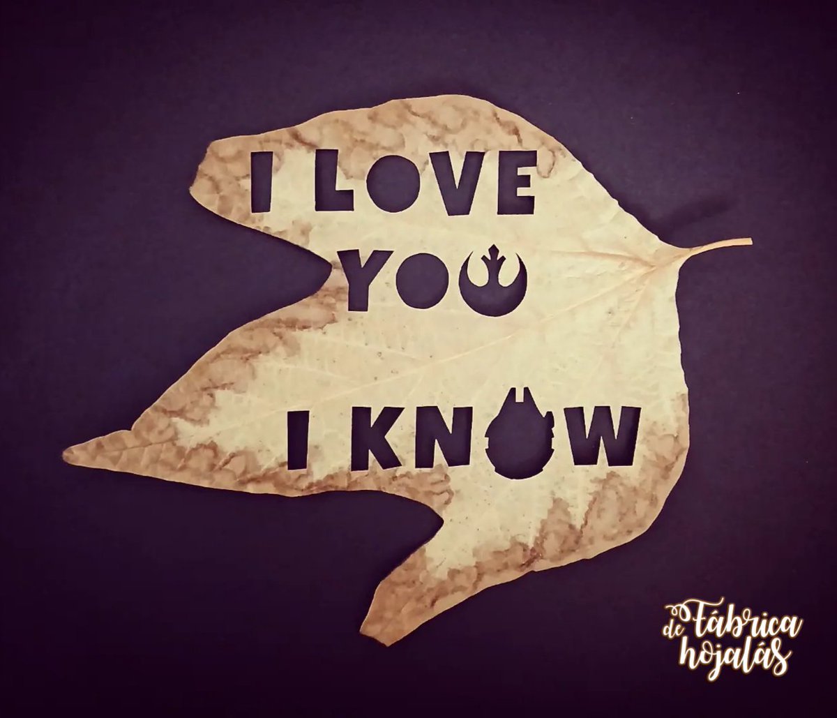 chapumike's tweet photo. #maythe4thbewithyou https://t.co/qjXHo9LLAB