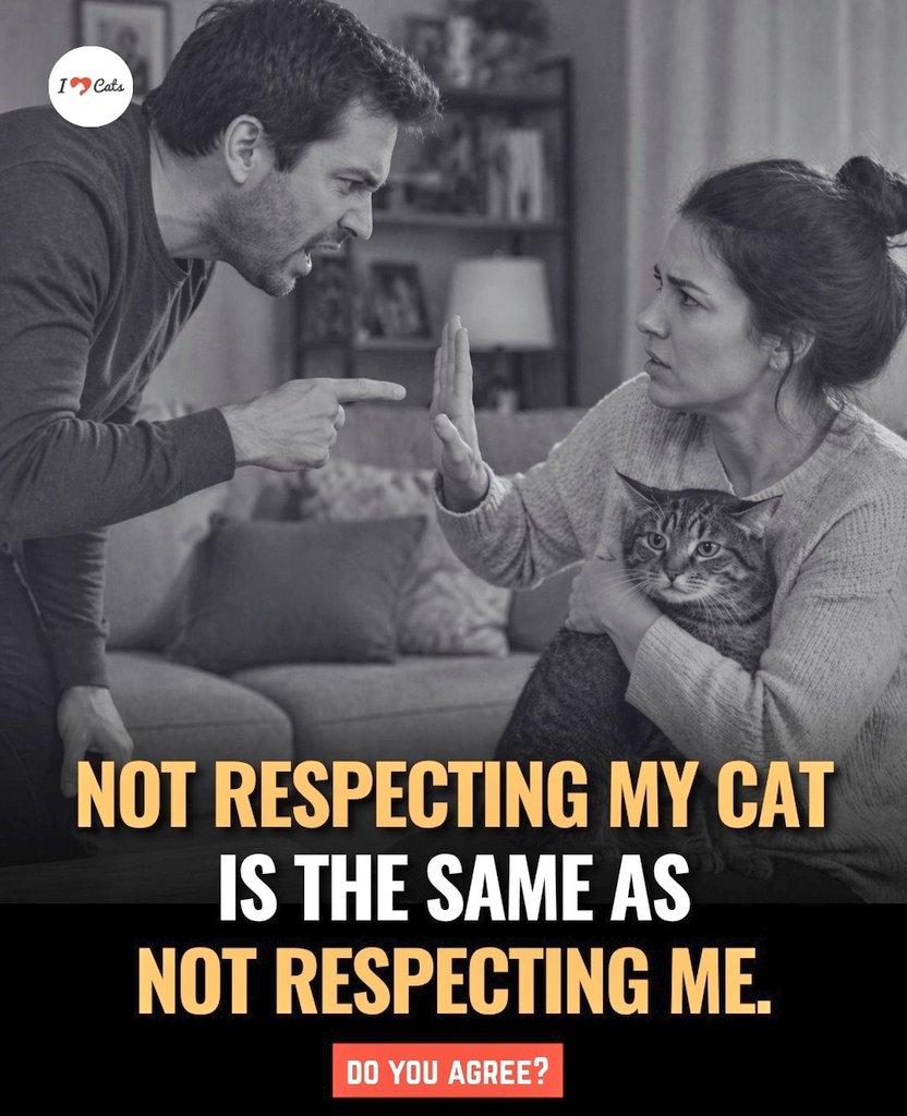 🌻Samson Cat🐱 tweet media