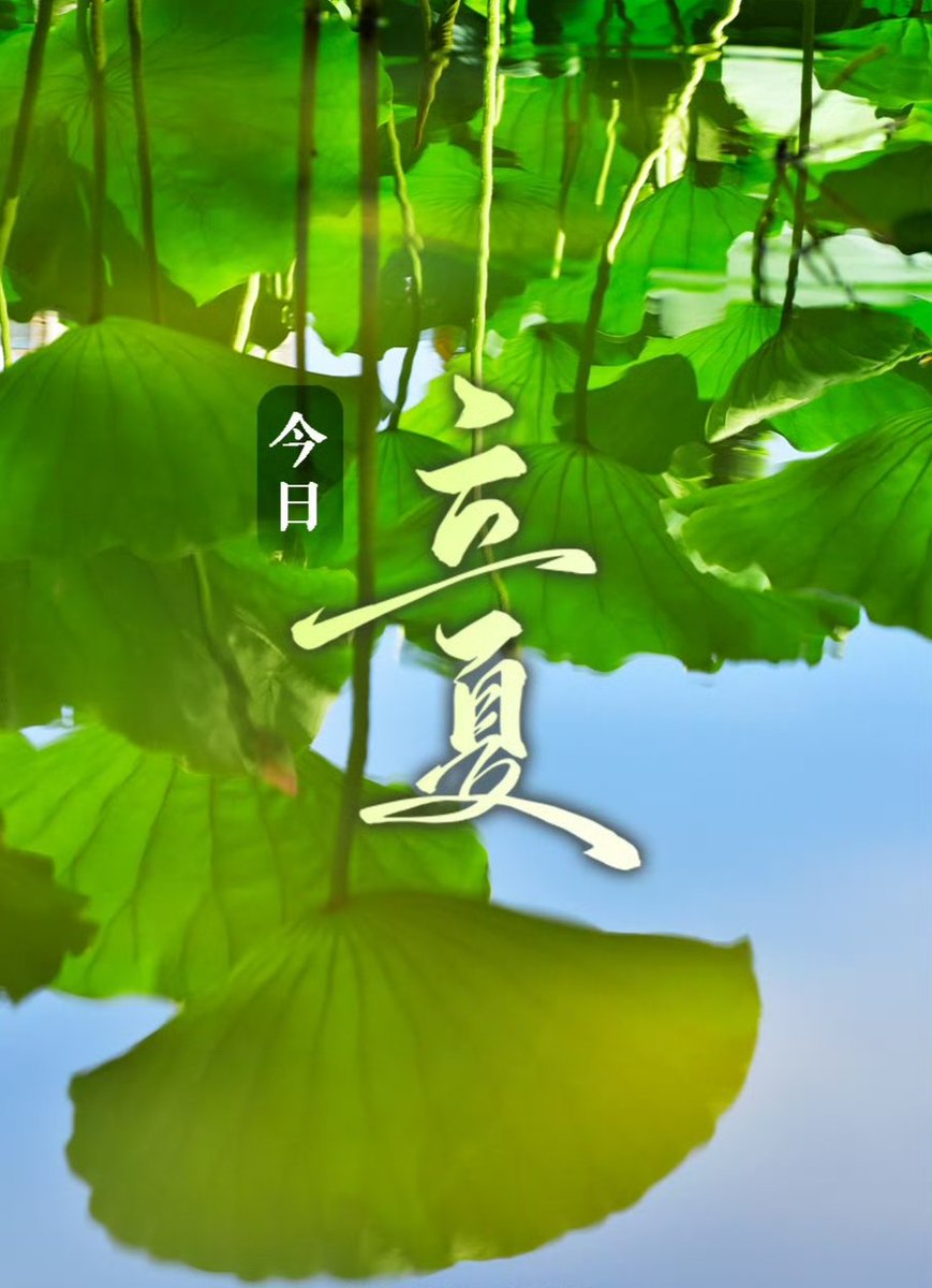 西贝勒@互FO tweet media
