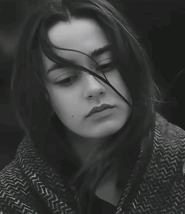 𝑴𝒆𝐒𝒉𝑶𝒐🩶🎀 tweet media
