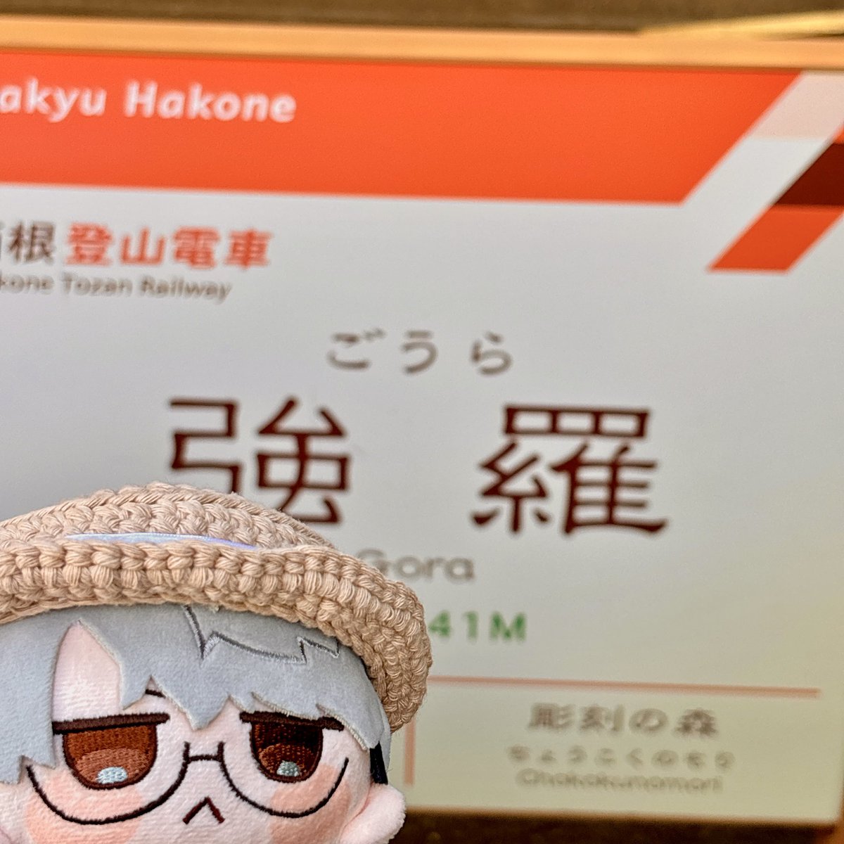 メソイヌ tweet media