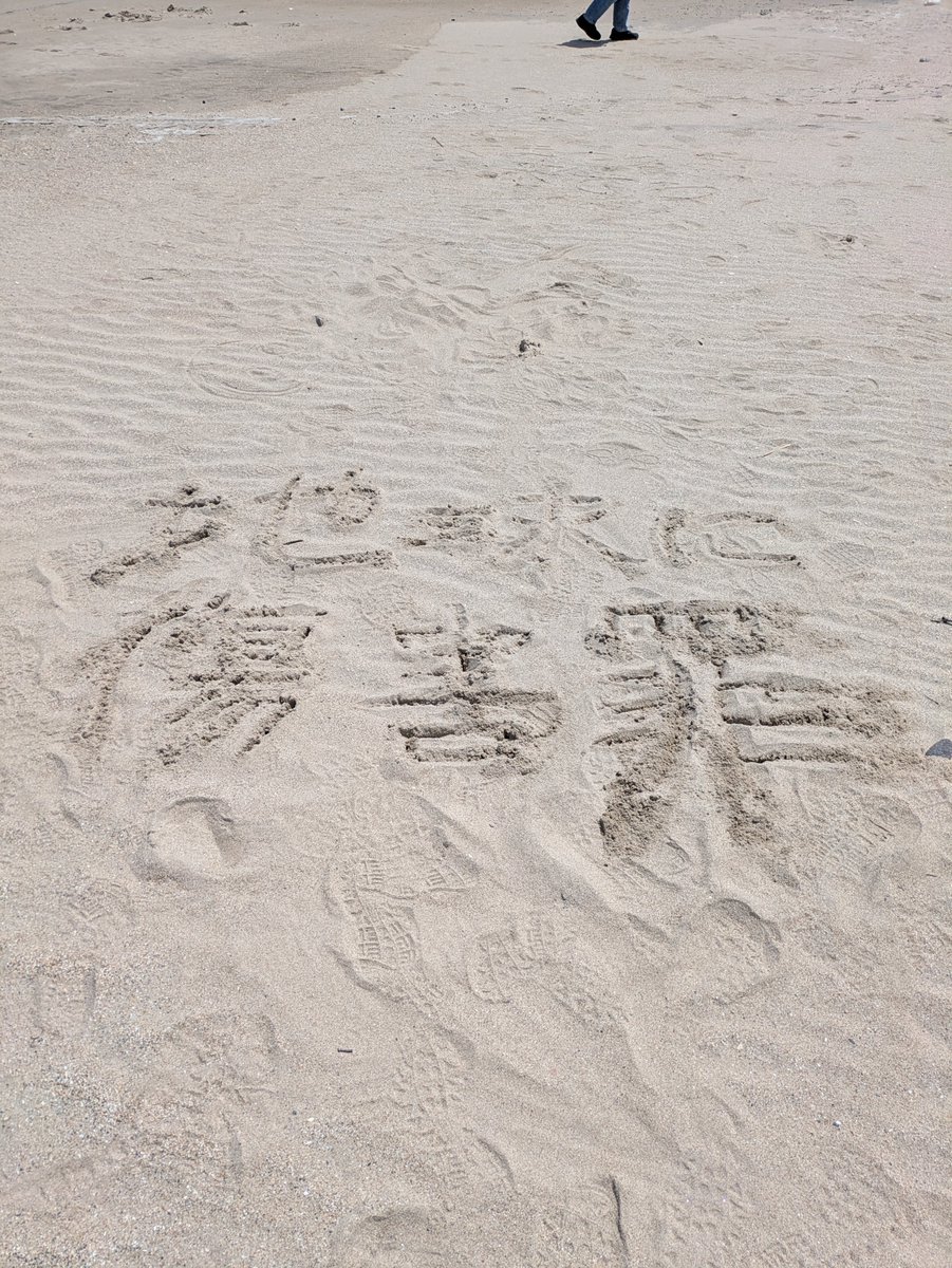 てぇふまん。@アカウント乗り換えました。 tweet media