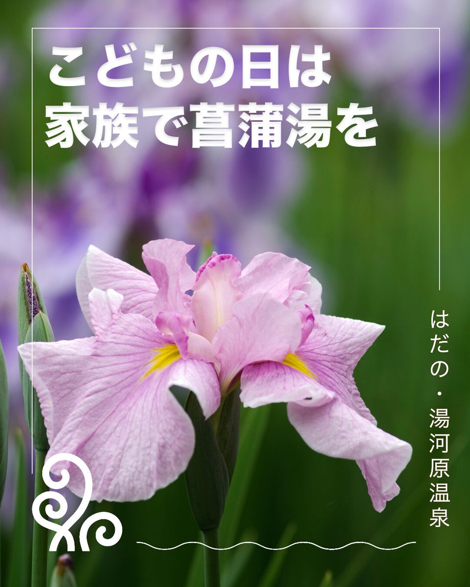 はだの・湯河原温泉 万葉の湯 tweet media