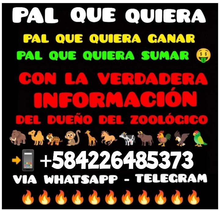 PabloJota27's tweet photo. ((( #MEGAREGALOTE ))) Solo Para Los Amantes De Los ANIMALITOS Que Les Guste Invertir Para Ganar; Allí Está La #MEGAPROMOCION Para Quienes Me Preguntaban Al Privado 👇👇👇 https://t.co/sKYjxgA2xa
