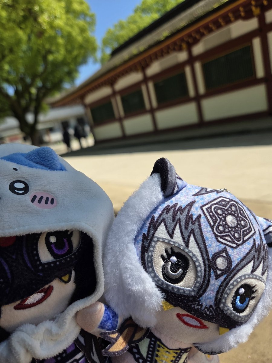 💙ありさん🐯🤍 tweet media