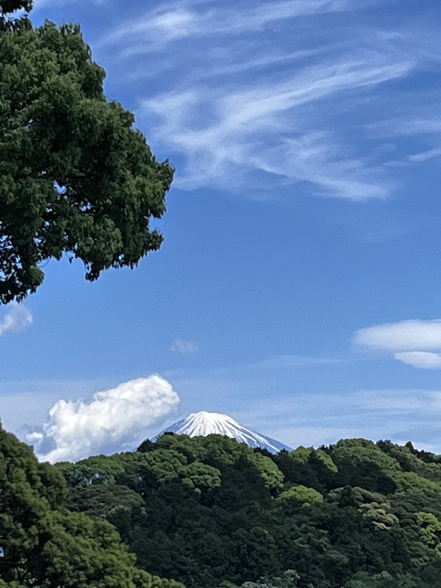 NPO_neko's tweet photo. 昨日のんほいパークから日本平動物園に浮気(元サヤ)してきました☻
カラッと晴れていいお天気☼
お店はたくさん変わってたけど懐かしい道と富士山のサイズでまた住みたい欲がww
アピタがイオンに変わってたのが衝撃だったw https://t.co/EJzVBLu5A3