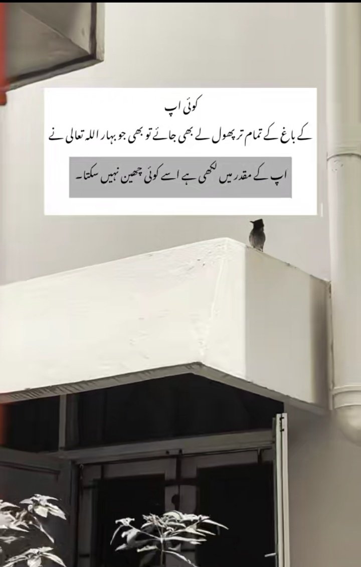 𝑤𝑎𝑟𝑑𝑎ℎ tweet media