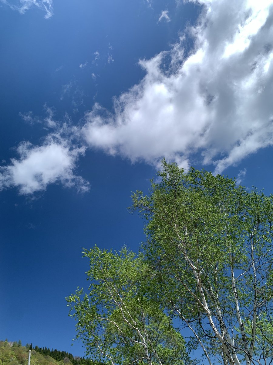 ぶぃ🍄空＠🇳🇴🐟ノルウェー産の鯖🗿おかっぱ軍団 tweet media