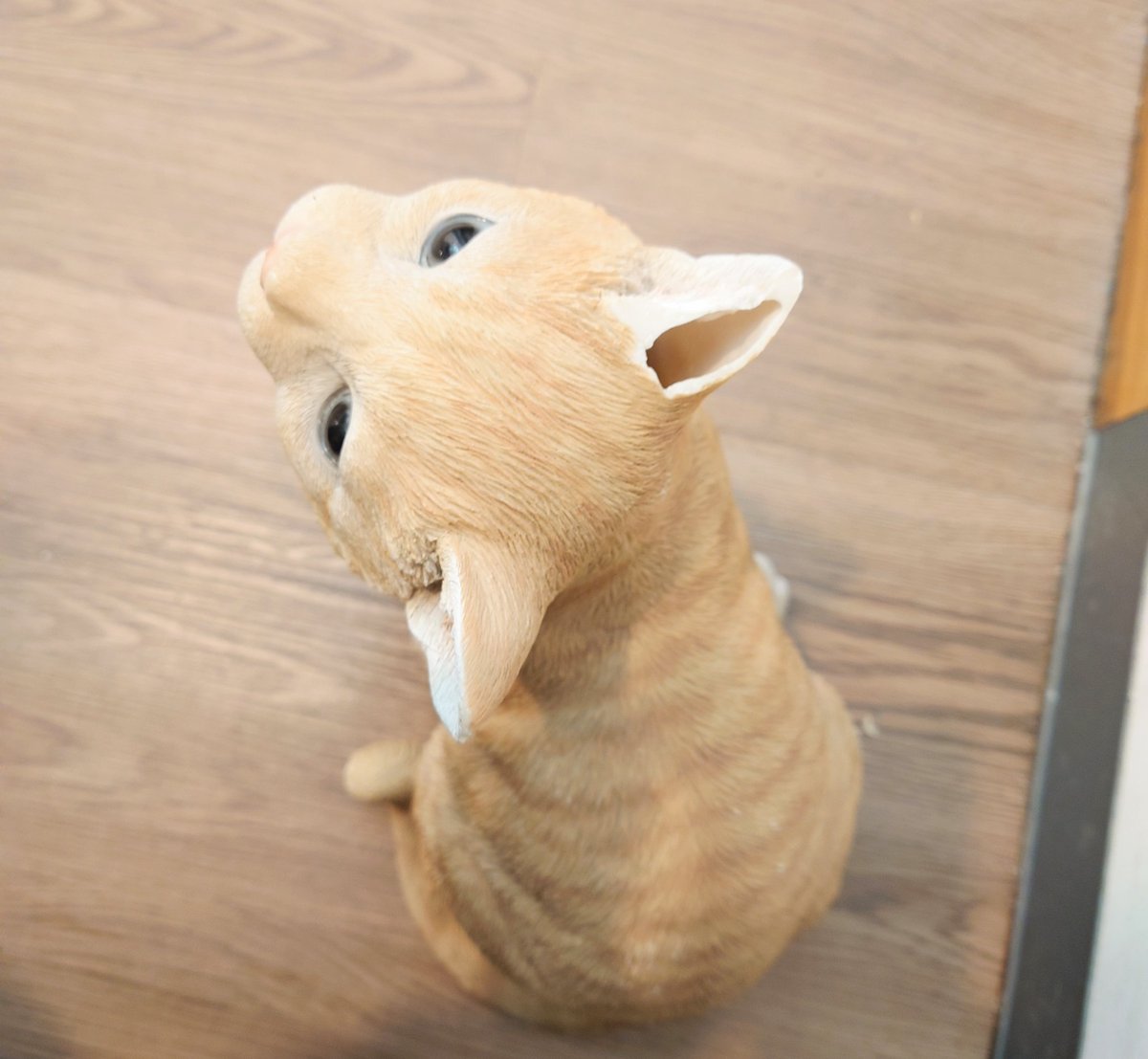 奈良の愛らしい猫のお店　猫雑貨さんちこ😺 tweet media