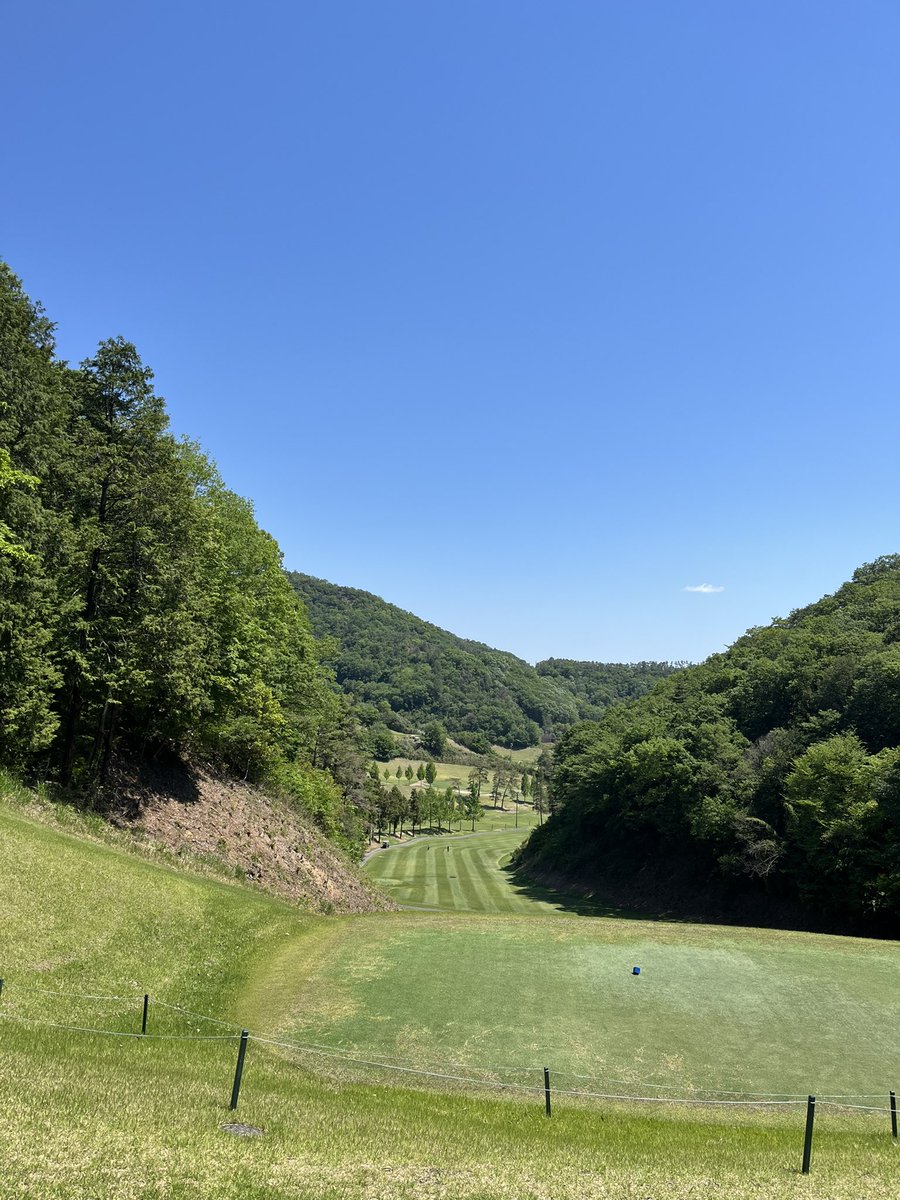 山根悟@矯正の人／背骨見続け40年 tweet media