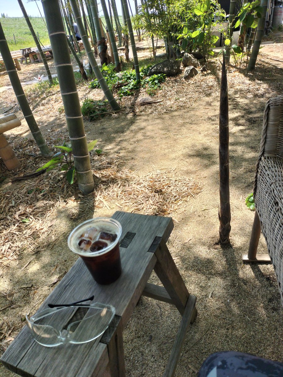 booton2005's tweet photo. 今日の竹林カフェは静かです https://t.co/jQbpErht9O