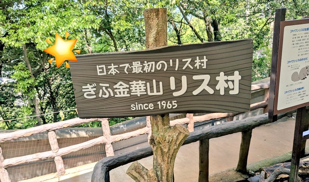mius_'s tweet photo. 昨日、リス村とは何ぞやと思いながら行って来ました！沢山のリスさんに囲まれて餌をあげられて可愛かったです🐿
お城も素敵でしたが激混みのせいか郡上八幡の方が印象的だったかも？
子が二階建てを期待していたロープウェイは岐阜違いでした🤣そして並び列を見て自力で登った息子とおじいちゃん凄い！ https://t.co/xA7NRNO4sS