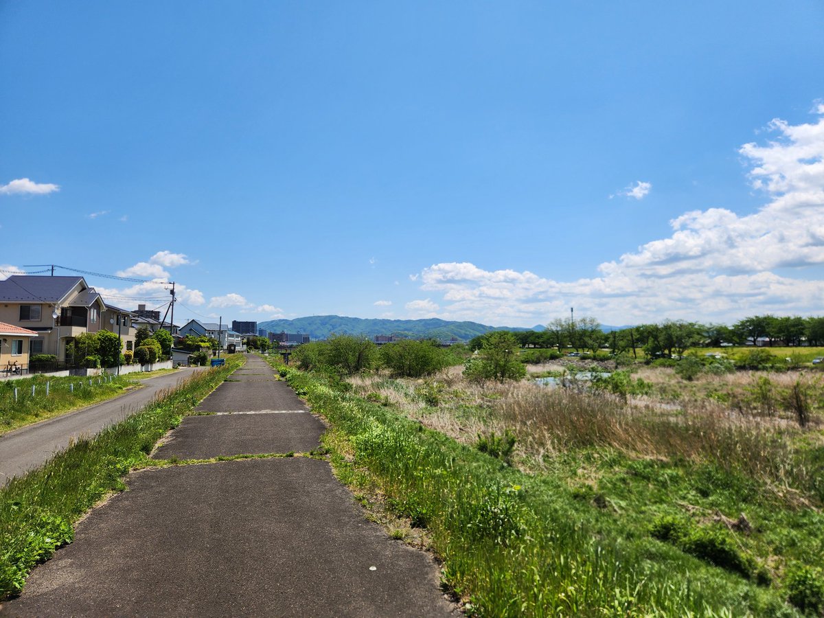 aiss35_'s tweet photo. 福島引っ越して落ち着いたので
散歩してるが駅周辺以外　
田舎の一言につきる…🤣
奥の方にラウワン見えるのが
福島駅 https://t.co/lJUS6iuBs4