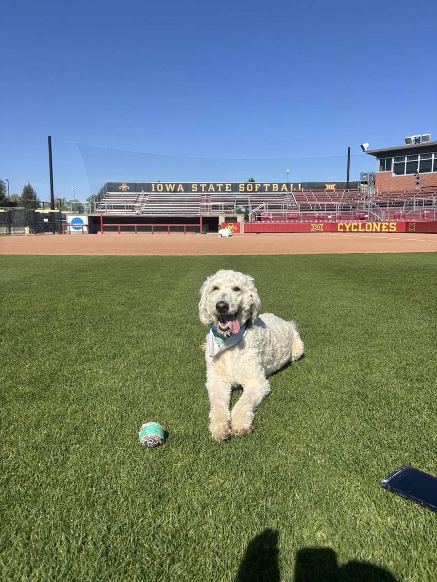 Cy’s Turf tweet media
