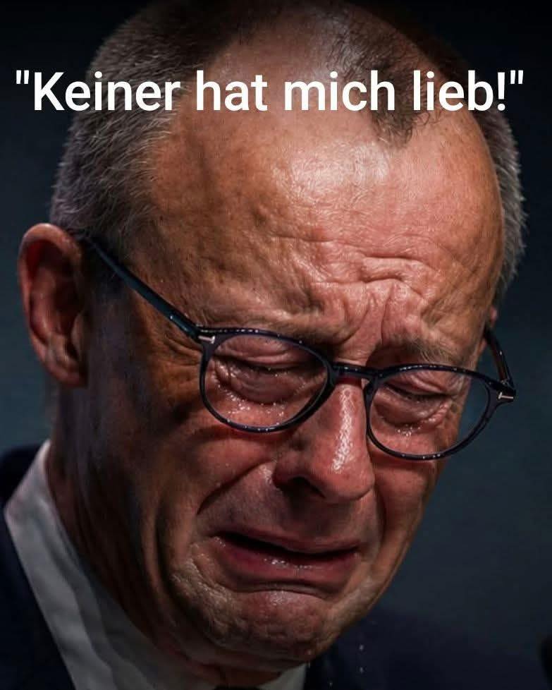 TraderFalk✨ tweet media