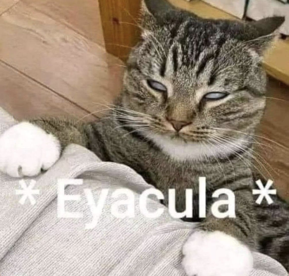 Acnologia tweet media