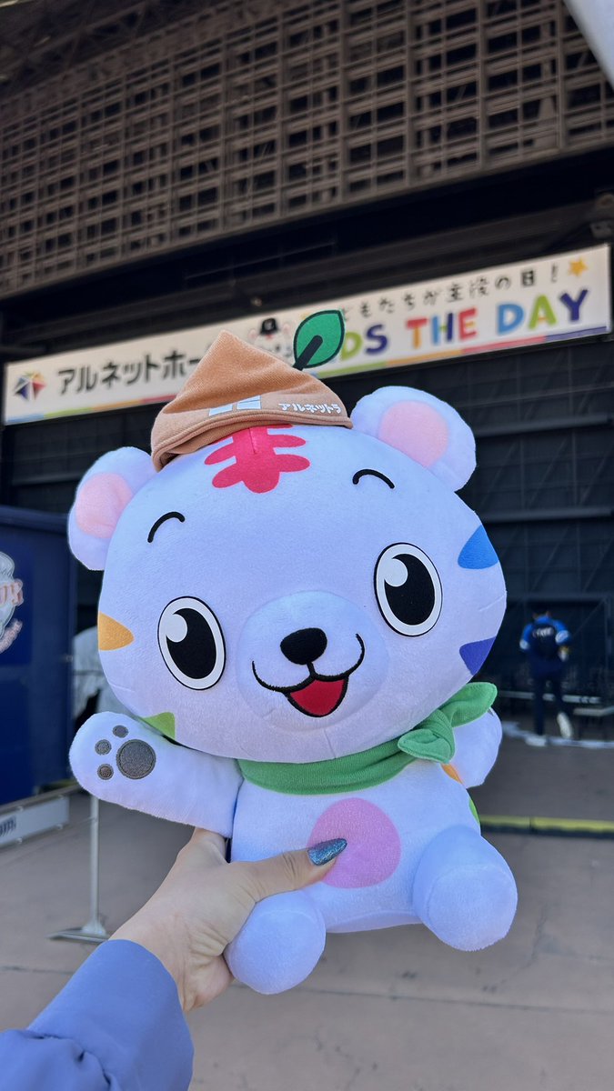 アルネットホーム🏠注文住宅/極暖の家 tweet media