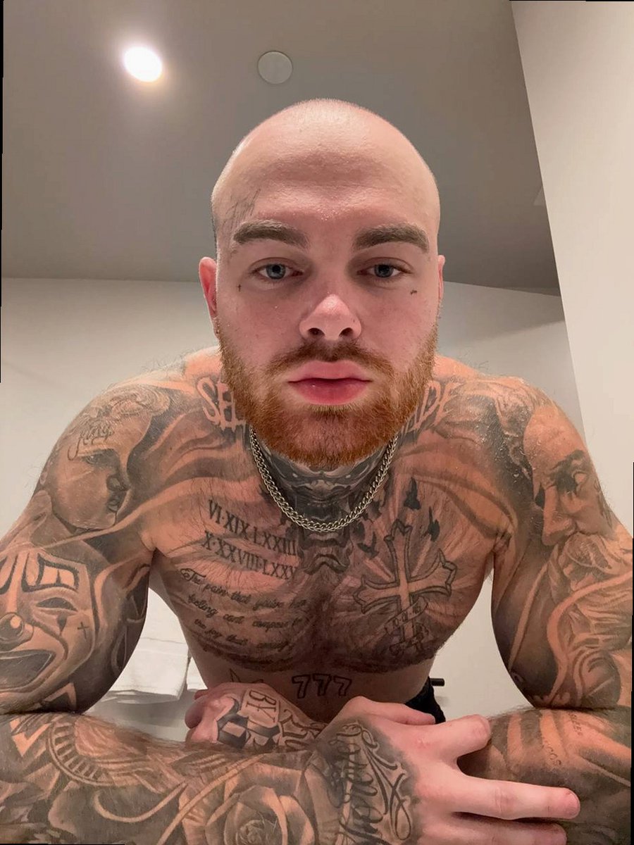 Brad tweet media