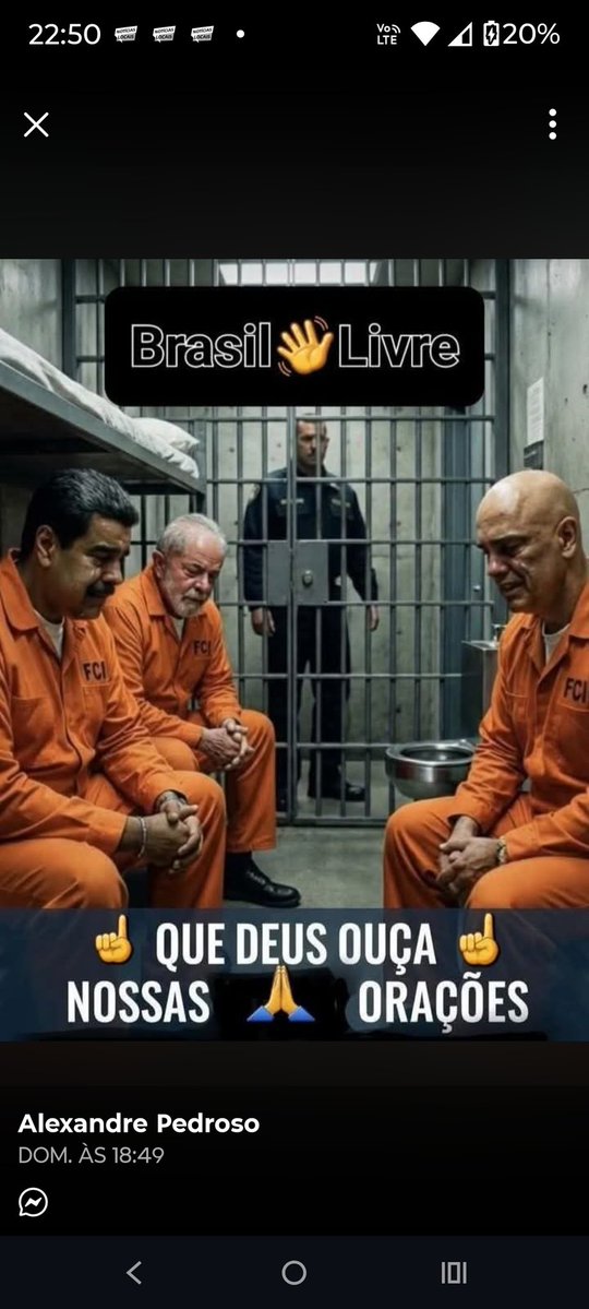 Edina Flores Machado tweet media