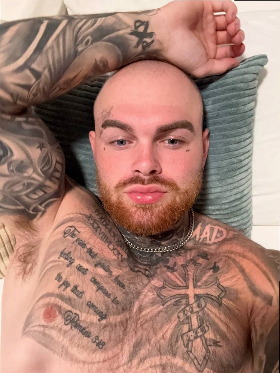 Brad tweet media