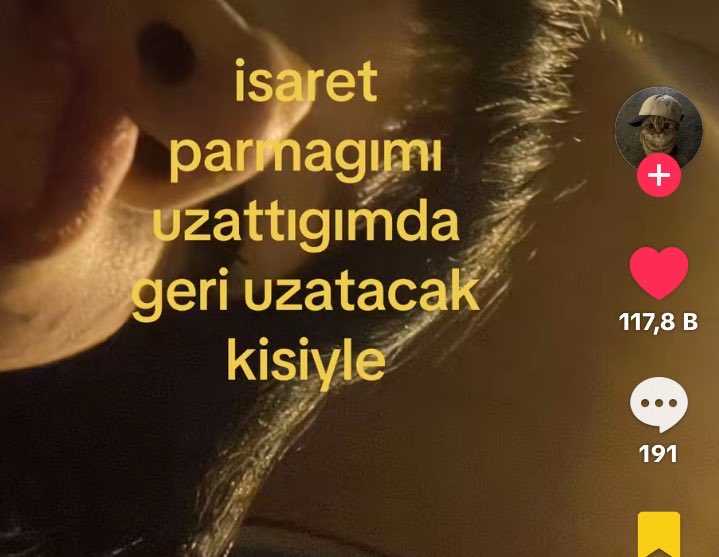 nurayygenc's tweet photo. https://t.co/pXX9Ph2iUj