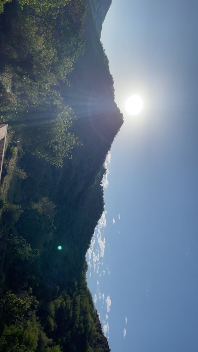 Noor_ul_ain001's tweet image. Every sunrise is a divine reminder of Allah's love and forgiveness. 

“Nature’s beauty is a blessing of Allah, a sign for us to begin the day with gratitude”…..🌼

Good morning 
#NatureVibes #Kashmir