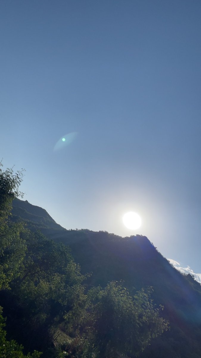 Noor_ul_ain001's tweet image. Every sunrise is a divine reminder of Allah's love and forgiveness. 

“Nature’s beauty is a blessing of Allah, a sign for us to begin the day with gratitude”…..🌼

Good morning 
#NatureVibes #Kashmir