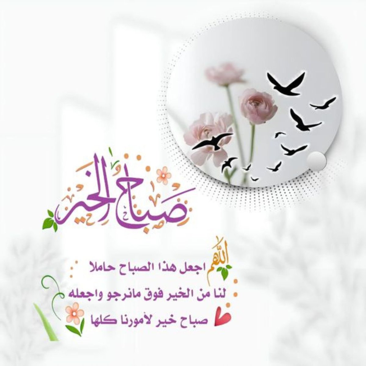 🇸🇦أبو إبراهيم 🇸🇦 tweet media