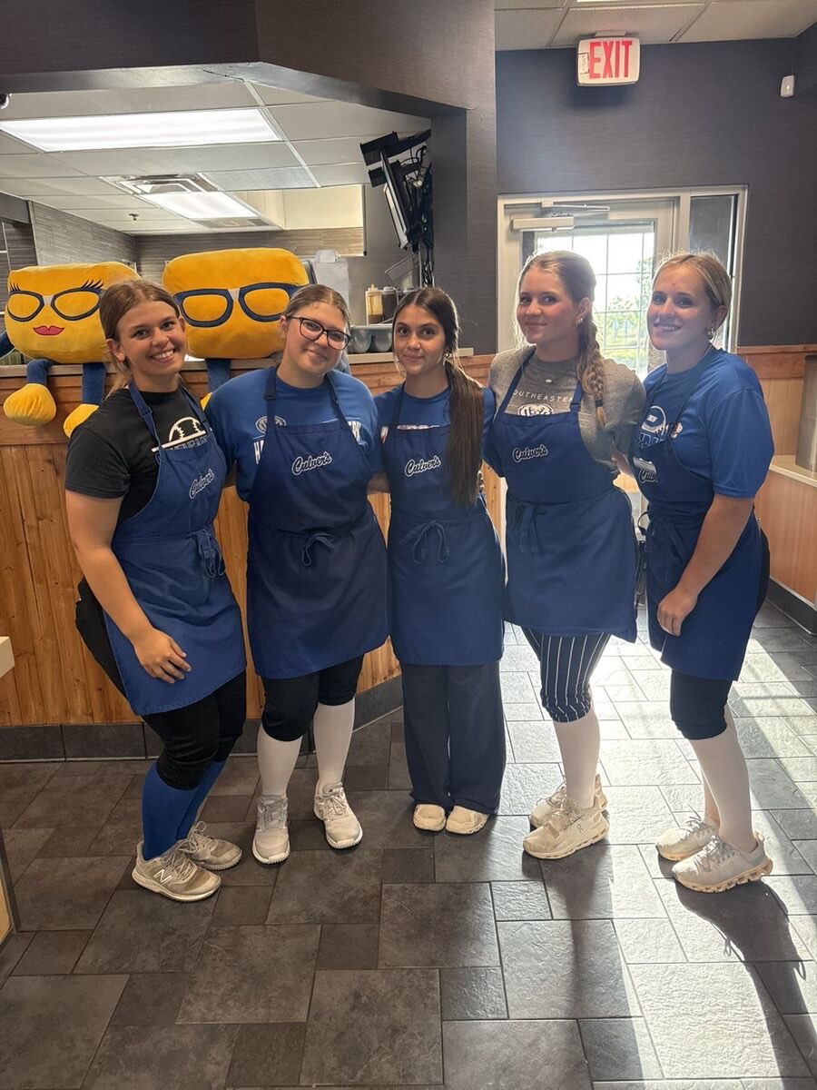 HSEsoftball tweet media